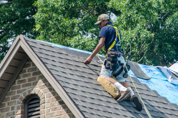 Best Roof Leak Repair  in Northfield, KY